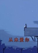 宋宛沈野全文免费阅读 从未爱你小