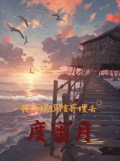 我让妈妈陪哥嫂去度蜜月
