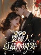 《林汐洛宴沉》小说章节目录免费