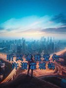 听风说我爱你许潜霍城屿全文阅读