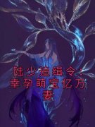 《陆少追缉令：幸孕萌宝亿万妻》