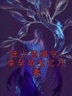 陆少追缉令：幸孕萌宝亿万妻