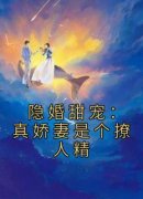 《隐婚甜宠：真娇妻是个撩人精》
