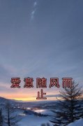 爱意随风而止爱意随风而止小说 王