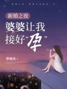 《淑慧郑子健》大结局在线阅读 《