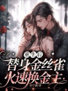 温念顾以琛重生后，替身金丝雀火