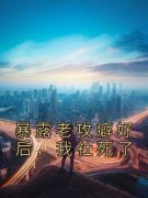 《沈雁归南岸》小说章节列表精彩