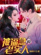 被逼急的老实人小说免费阅读 程静
