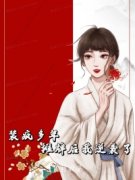 《清清陆桀》小说完结版在线阅读