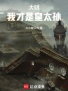 穿越明朝年仅13岁的皇三孙殿下穿越