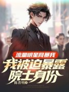 《肖荣城林灼》小说精彩章节免费