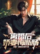 《陈鹰扬陆千雪》离婚后，娇妻悔