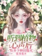 《张软软风暖年》小说免费阅读 听