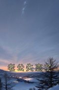 《盈盈季成礼苏柔》老公失恋了完