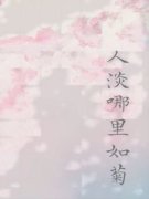 《人淡哪里如菊》最新章节列表 第