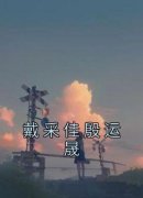 戴采佳殷运晟免费阅读 戴采佳殷运