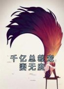 方束林乙柒千亿总裁宠妻无度小说