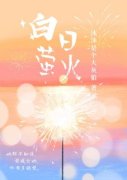 白日萤火主角沈瑶芷沈星肆小说完