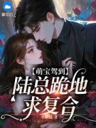 虞欢陆靳北by小蜻蜓无防盗章在线阅