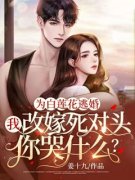 《季欢容琛》小说精彩章节免费试