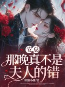 小说《安总，那晚真不是夫人的错