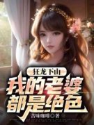 君无悔顾清颜小说阅读  第1章