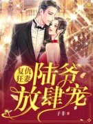 《洛晚陆寒川》小说全文精彩试读