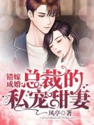 错嫁成婚：总裁的私宠甜妻小说 《