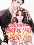 《白月光回国后，她藏起孕肚跑路