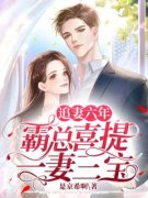 追妻六年，霸总喜提一妻三宝完整