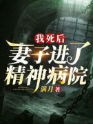 沈禾周如意我死后，妻子进了精神