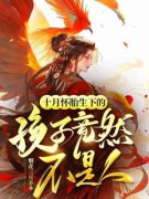 主角是十月怀胎生下的孩子竟然不