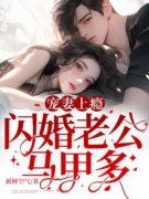 宋浅季聿风全本资源 宠妻上瘾，闪