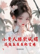 《小贵人腰软妩媚，摄政王夜夜爬