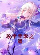 段辛辛宋之遥完整目录在线阅读 