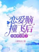 《沈若张南》小说章节列表在线阅