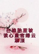 小说《元宝宝柳娇娇元鸿奕》在娘