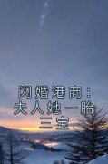 闪婚港商：夫人她一胎三宝乔柚安