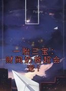 精品热文《陆一楠赵衍贞》一胎三