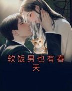 梁天程雪宁主角软饭男也有春天全
