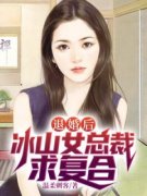 小说《退婚后，冰山女总裁求复合