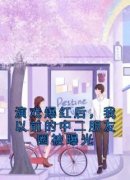 温以筝谭妄洲完整小说目录在线阅