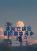 苏浅陆北佚名 苏浅陆北在线阅读