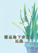 《霸总跪下求我放过他》小说大结