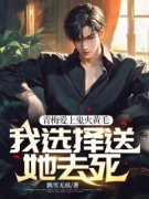 《易风柳如烟》小说章节列表免费