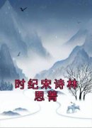 《宋诗时纪林思菁》小说章节目录