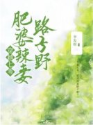 《穿越七零：肥婆辣妻路子野》小
