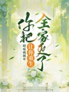 《云微云小小》小说完结版精彩试