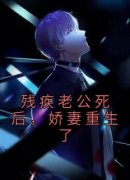 《蒋初初沈纪年》残疾老公死后，
