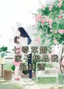 林向南顾振华七零军婚：一家子极